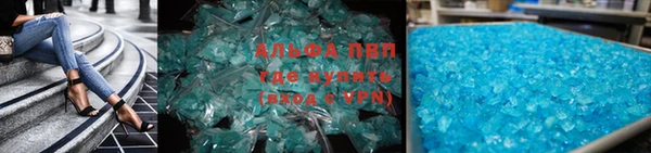 стаф Богородск