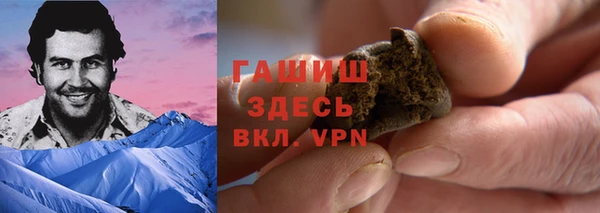 стаф Богородск