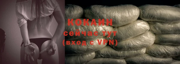 2c-b Богородицк